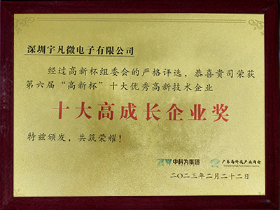 十大高成長企業(yè)獎