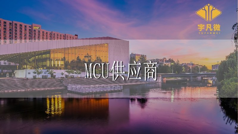 中國本土MCU供應(yīng)商