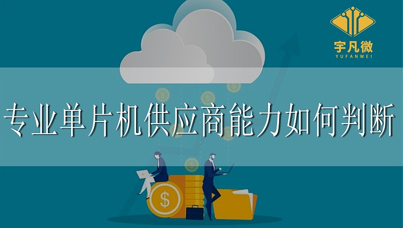 專(zhuān)業(yè)單片機(jī)供應(yīng)商能力如何判斷